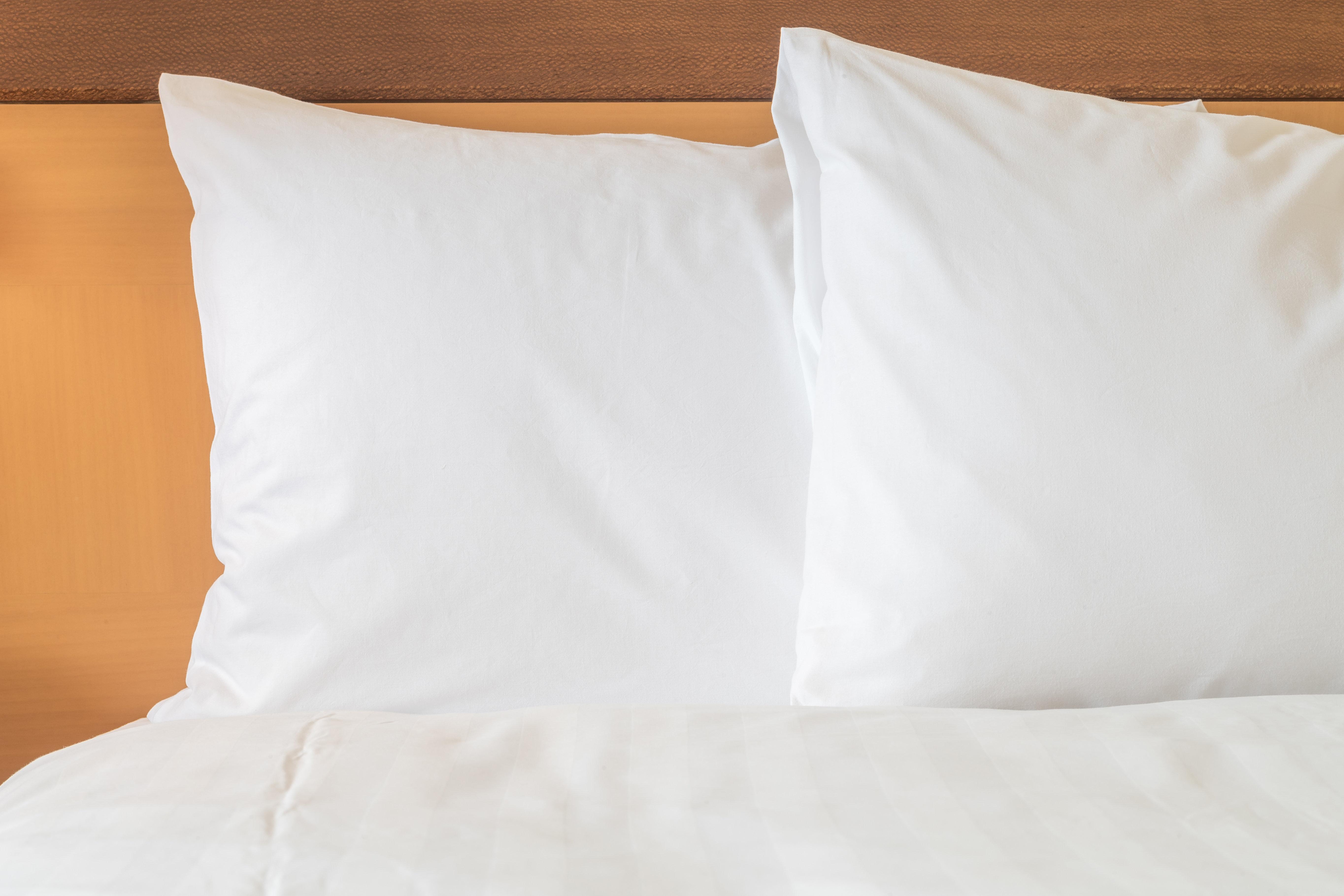 Holiday Inn Chicago/Oak Brook By Ihg Oakbrook Terrace Ngoại thất bức ảnh